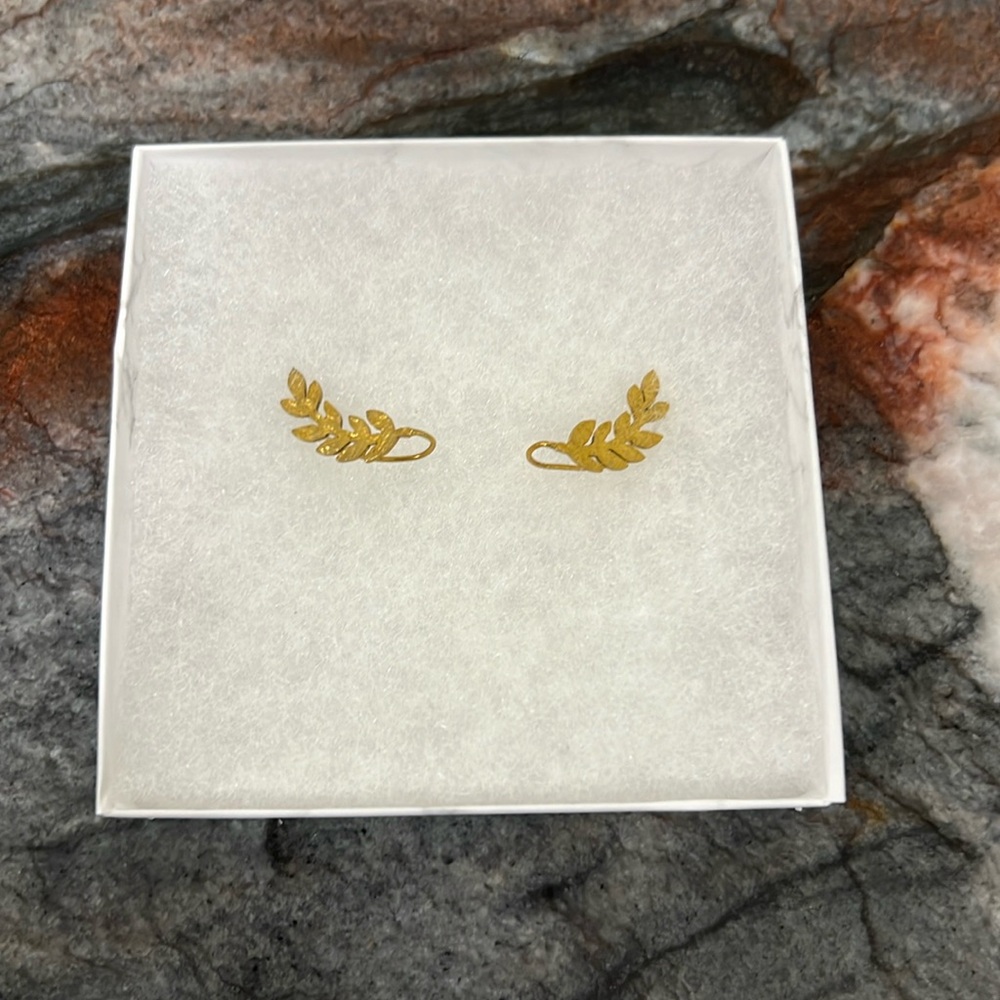 Ear crawler earrings